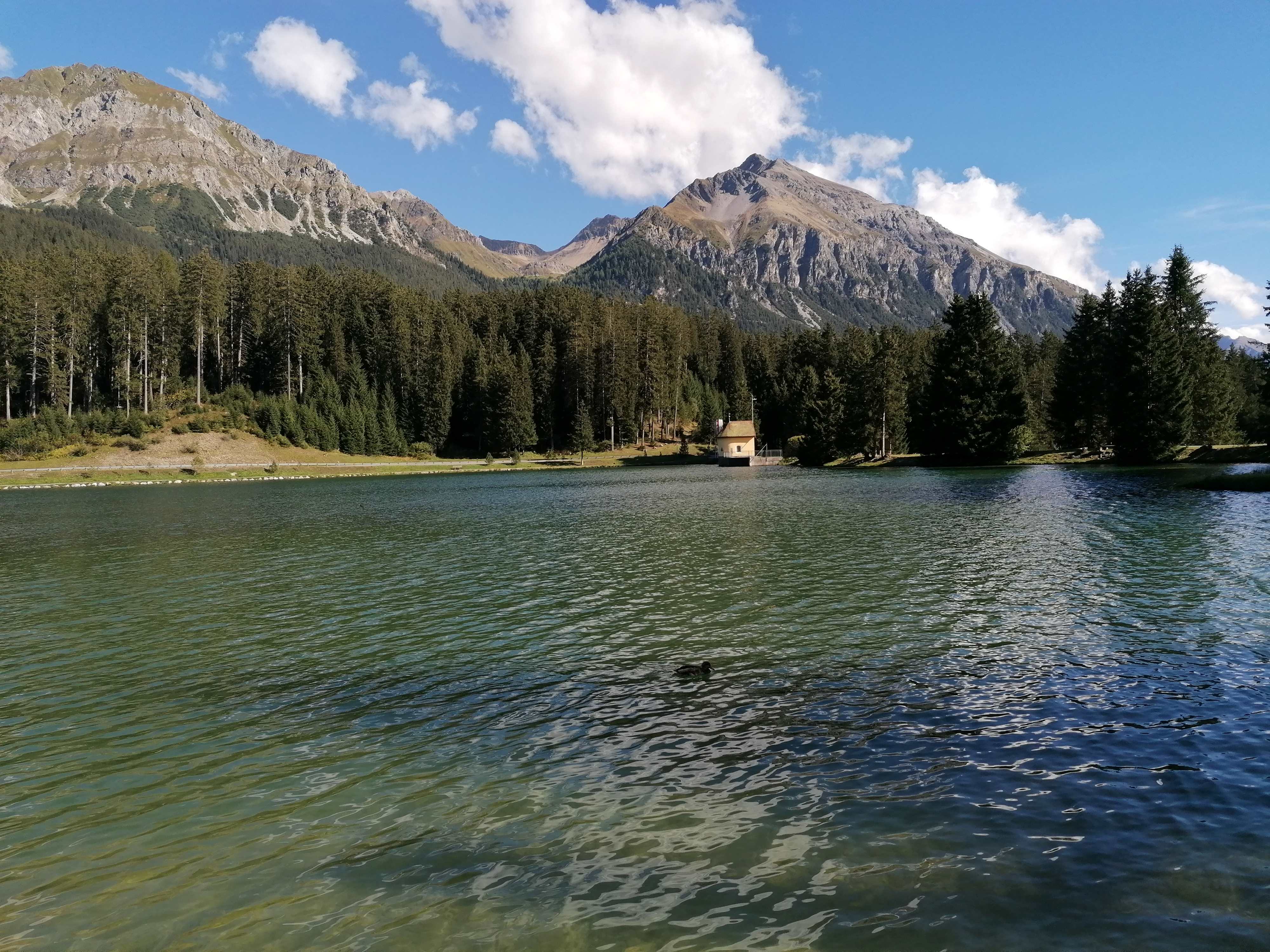 Lenzerheide Heidsee